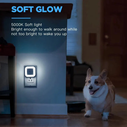Night LED Light Motion Sensor Ambient Lighting Fall 2026 Energy Saving Auto On At Night
