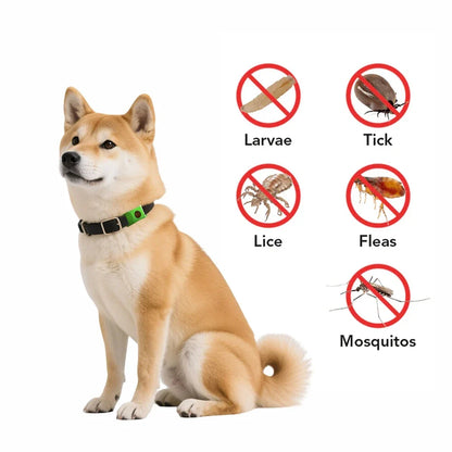Organic Extract Pet Flea & Tick Repellent Collar Tag Dogs Cats All Seasons Safe Wearable