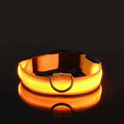 LED Dog Collar Glow In The Dark Night Safety Luminous Fall 2026 Trend Great Gift Idea