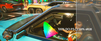 OLED 13.3 Inch Travel-Friendly Monitor 1ms HDR 100 Percent DCI P3