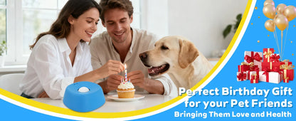 Anti-Slip Lick Mat 3/4 Cup Liquid Treat Holder for Dogs 2026 – Anti-Choking Slow Feeder Dog Bowl