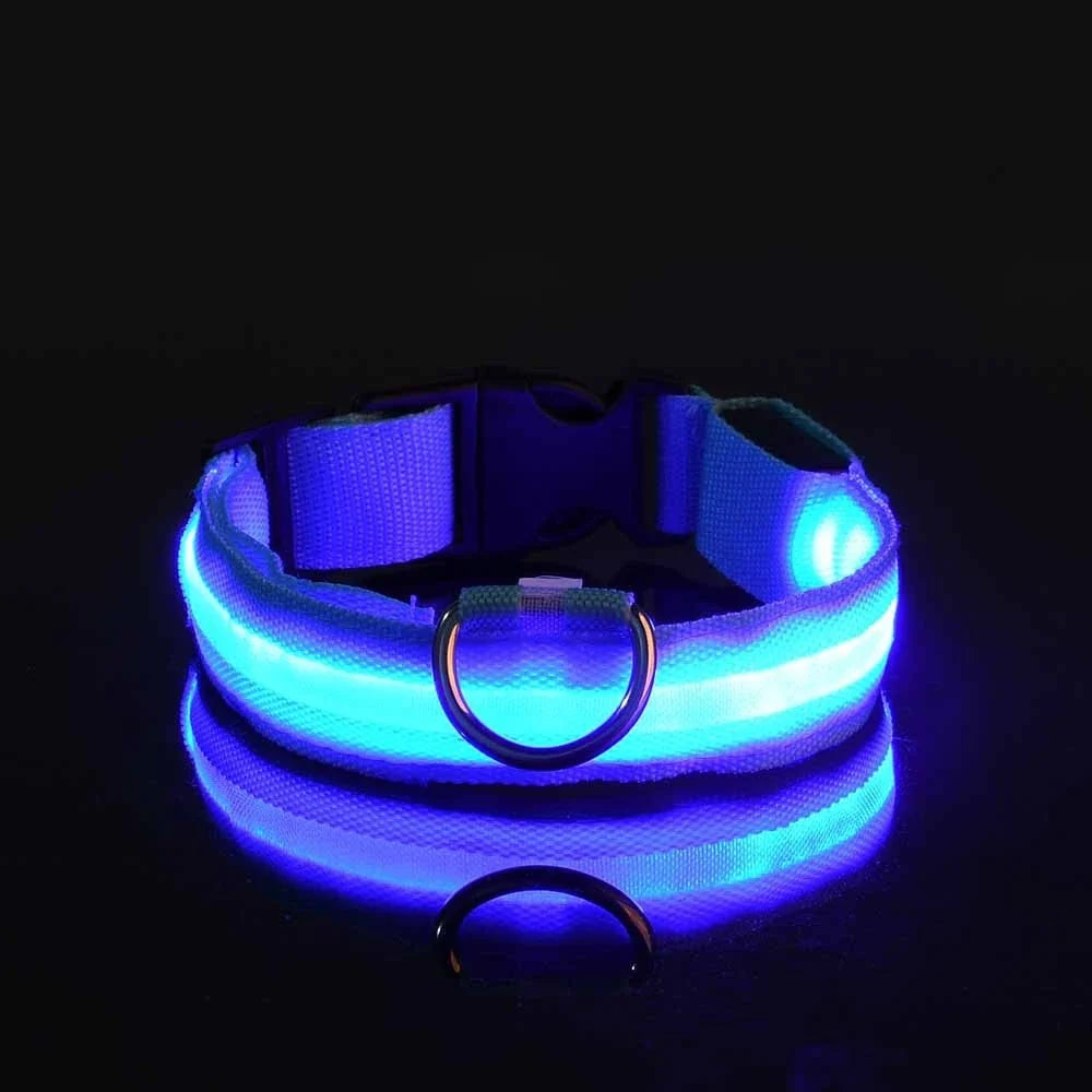 LED Dog Collar Glow In The Dark Night Safety Luminous Fall 2026 Trend Great Gift Idea