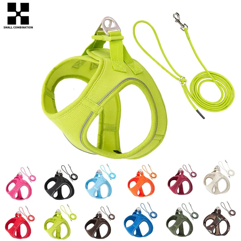 Dog Harness Leash Kit Reflective Padded Vest All Seasons Outdoor Walking Gift Idea