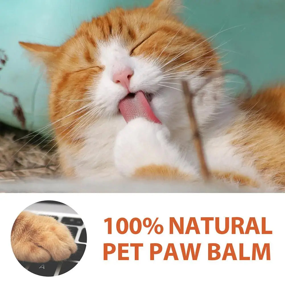 Pet Paw Balm for Dogs & Cats - Moisturizing Foot Maintenance Cream, Protective Oil for Winter Paw Health