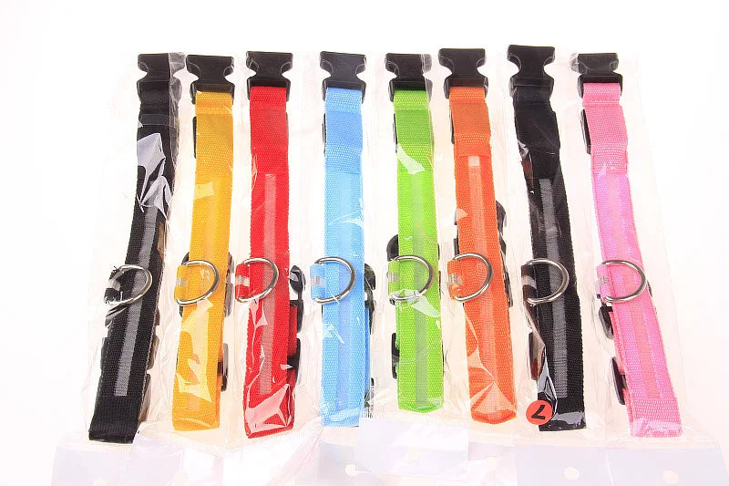 LED Dog Collar Glow In The Dark Night Safety Luminous Fall 2026 Trend Great Gift Idea