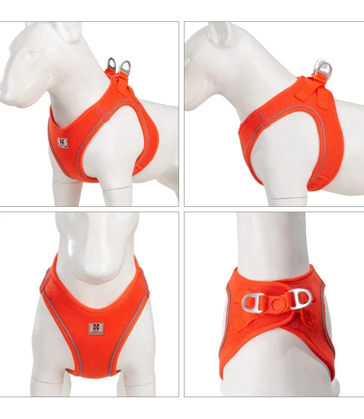 Dog Harness Leash Kit Reflective Padded Vest All Seasons Outdoor Walking Gift Idea