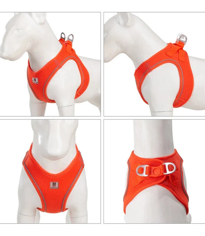 Dog Harness Leash Kit Reflective Padded Vest All Seasons Outdoor Walking Gift Idea