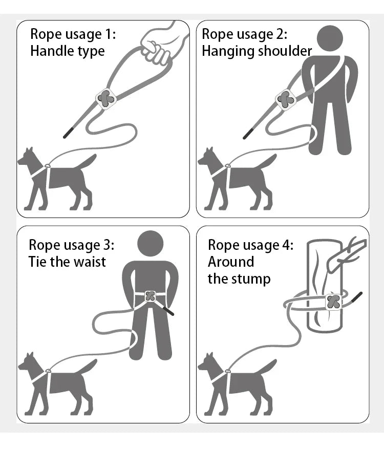 Dog Harness Leash Kit Reflective Padded Vest All Seasons Outdoor Walking Gift Idea
