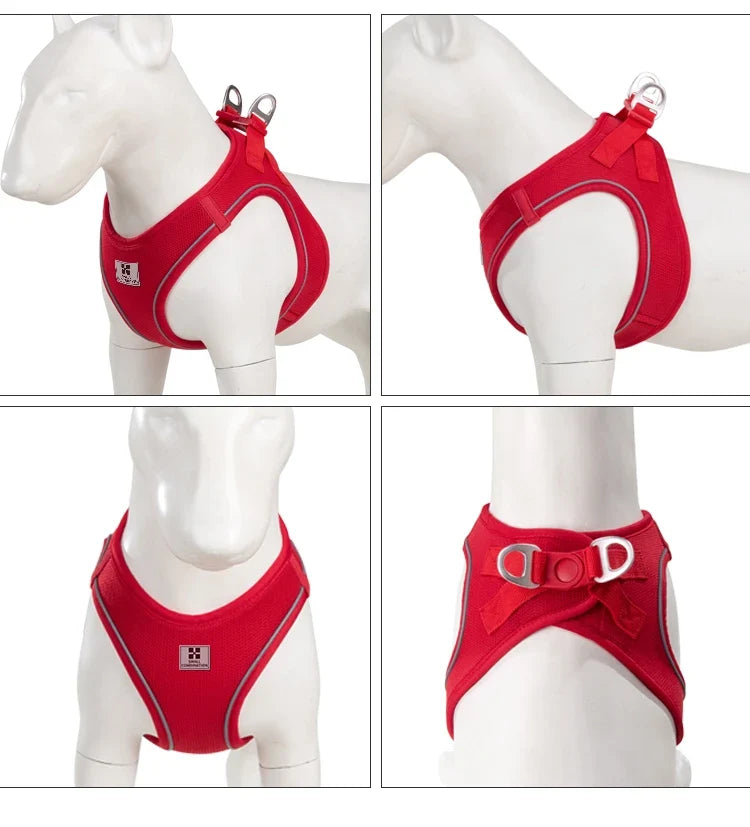 Dog Harness Leash Kit Reflective Padded Vest All Seasons Outdoor Walking Gift Idea