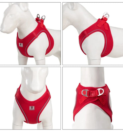 Dog Harness Leash Kit Reflective Padded Vest All Seasons Outdoor Walking Gift Idea