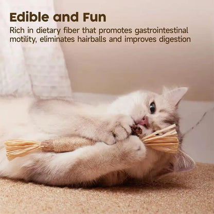 Organic Silver Vine Cat Dental Chew Rod - Bite-Resistant Matatabi Teeth Cleaning Toy