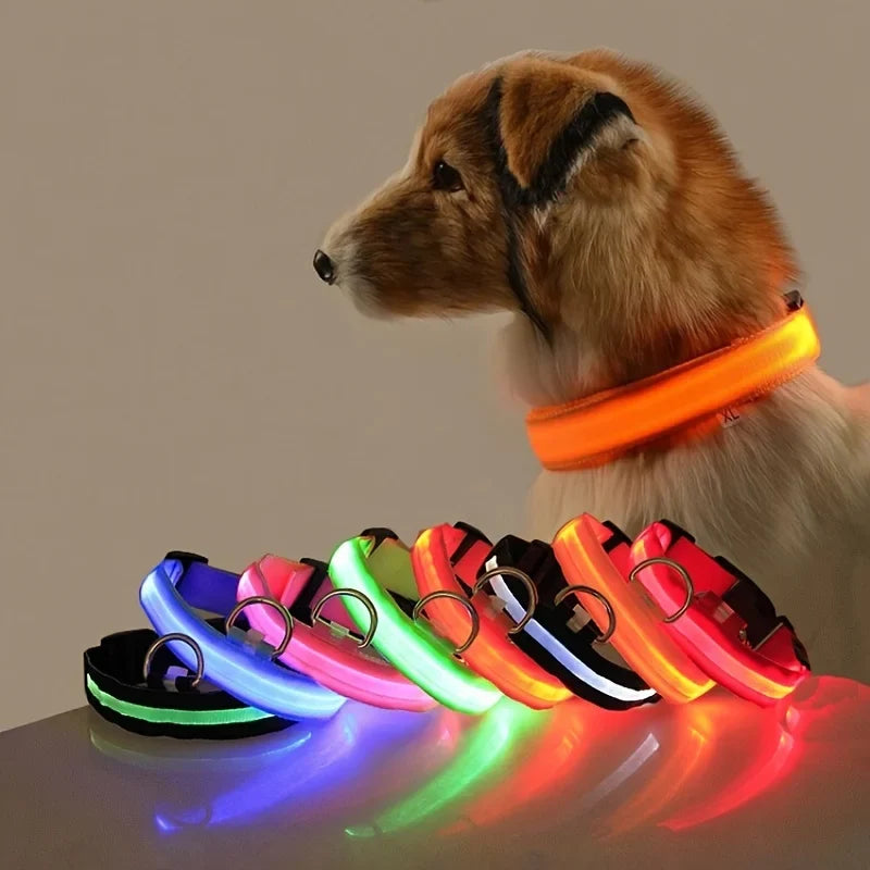 LED Dog Collar Glow In The Dark Night Safety Luminous Fall 2026 Trend Great Gift Idea