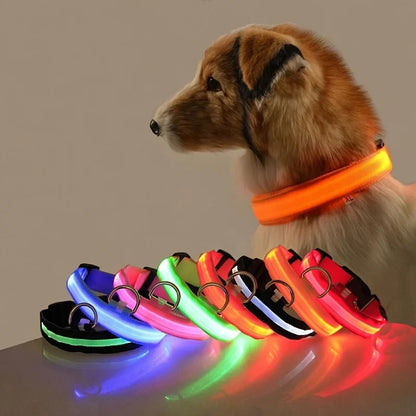 LED Dog Collar Glow In The Dark Night Safety Luminous Fall 2026 Trend Great Gift Idea