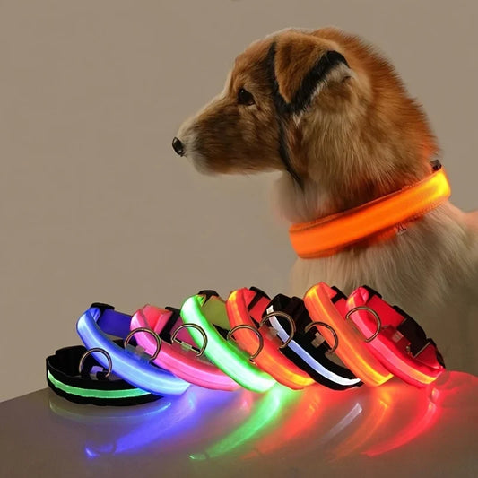 LED Dog Collar Glow In The Dark Night Safety Luminous Fall 2026 Trend Great Gift Idea