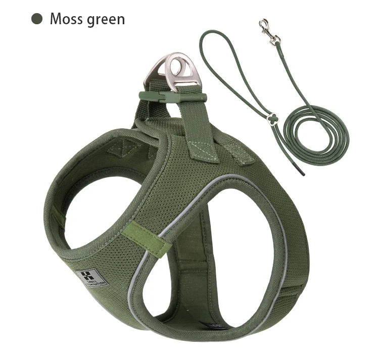 Dog Harness Leash Kit Reflective Padded Vest All Seasons Outdoor Walking Gift Idea