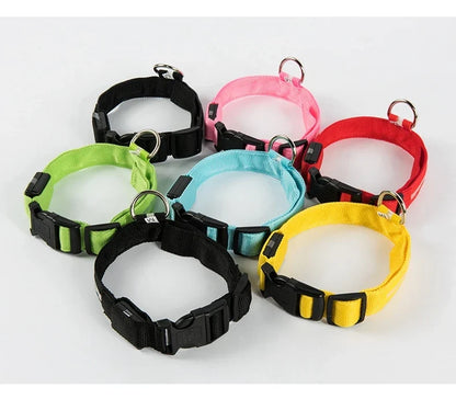 LED Dog Collar Glow In The Dark Night Safety Luminous Fall 2026 Trend Great Gift Idea