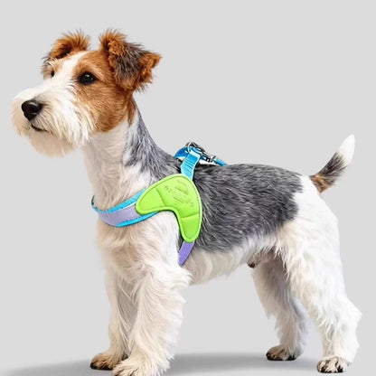 Dog Harness Y Shaped Flexible Chest Straps Polyester Blends Summer 2026 Outdoor Use Simple Fit