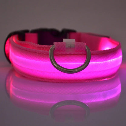 LED Dog Collar Glow In The Dark Night Safety Luminous Fall 2026 Trend Great Gift Idea