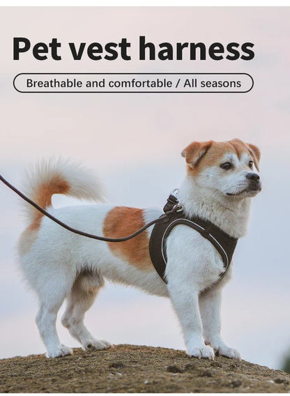 Dog Harness Leash Kit Reflective Padded Vest All Seasons Outdoor Walking Gift Idea
