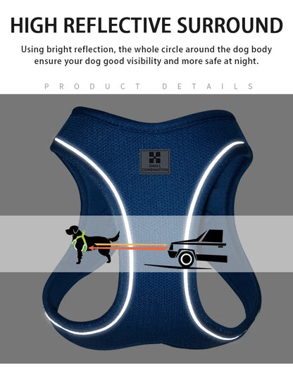 Dog Harness Leash Kit Reflective Padded Vest All Seasons Outdoor Walking Gift Idea