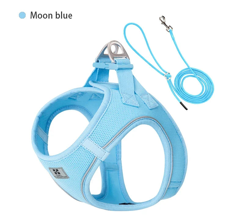 Dog Harness Leash Kit Reflective Padded Vest All Seasons Outdoor Walking Gift Idea