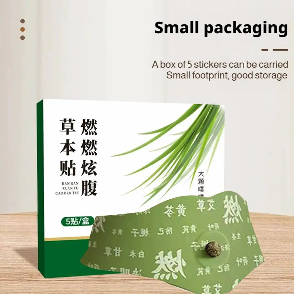Belly Mugwort Patch Slimming Body Shaping Viral Fall 2026 Fast Fat Burning Gift