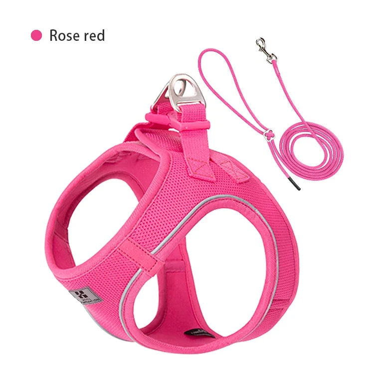 Dog Harness Leash Kit Reflective Padded Vest All Seasons Outdoor Walking Gift Idea