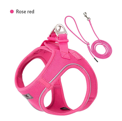 Dog Harness Leash Kit Reflective Padded Vest All Seasons Outdoor Walking Gift Idea