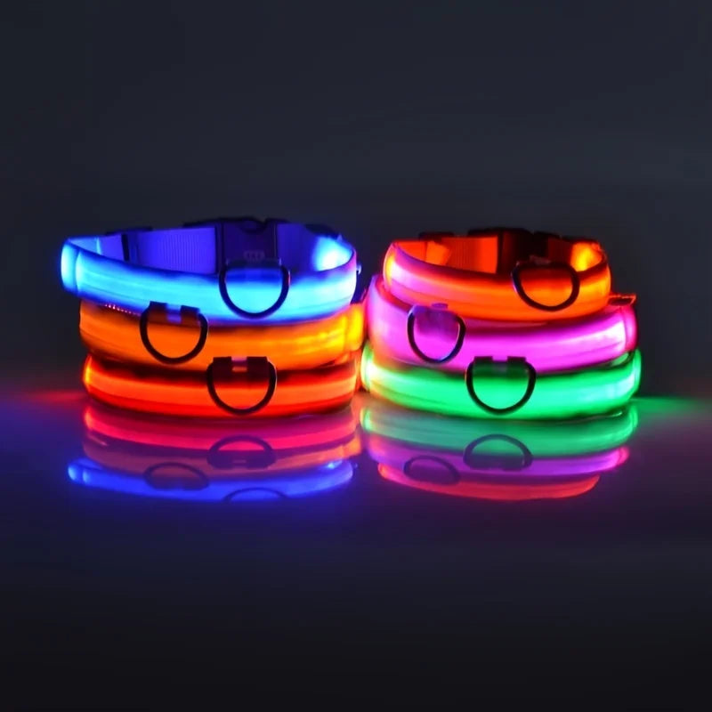 LED Dog Collar Glow In The Dark Night Safety Luminous Fall 2026 Trend Great Gift Idea