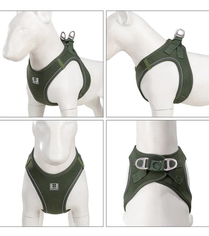 Dog Harness Leash Kit Reflective Padded Vest All Seasons Outdoor Walking Gift Idea