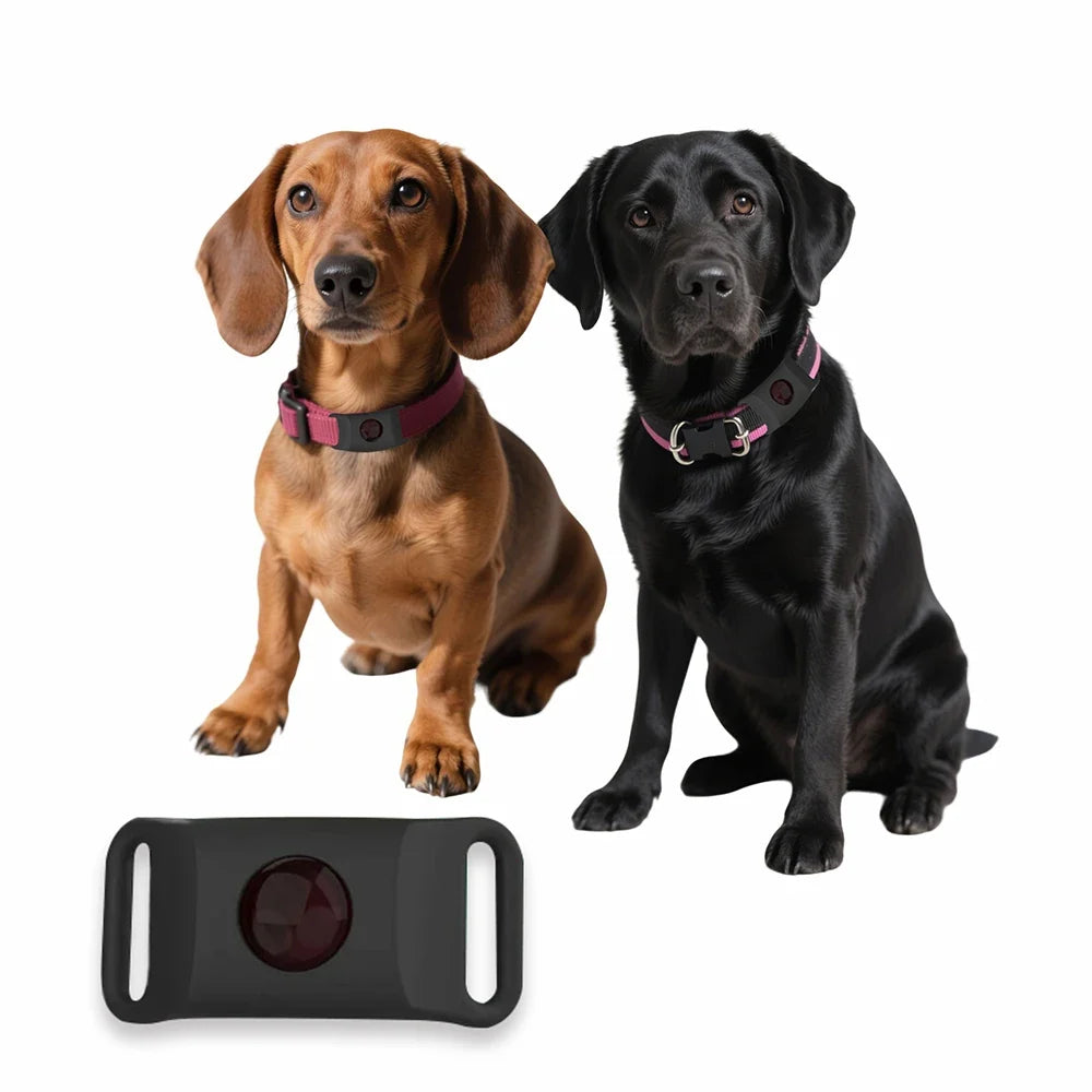 Organic Extract Pet Flea & Tick Repellent Collar Tag Dogs Cats All Seasons Safe Wearable