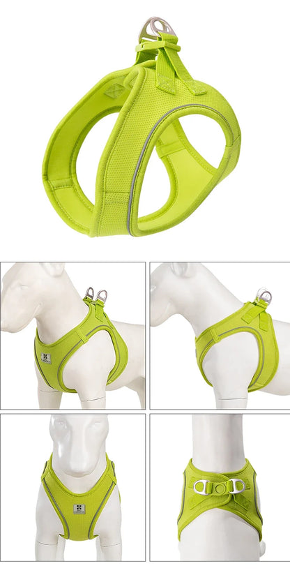 Dog Harness Leash Kit Reflective Padded Vest All Seasons Outdoor Walking Gift Idea