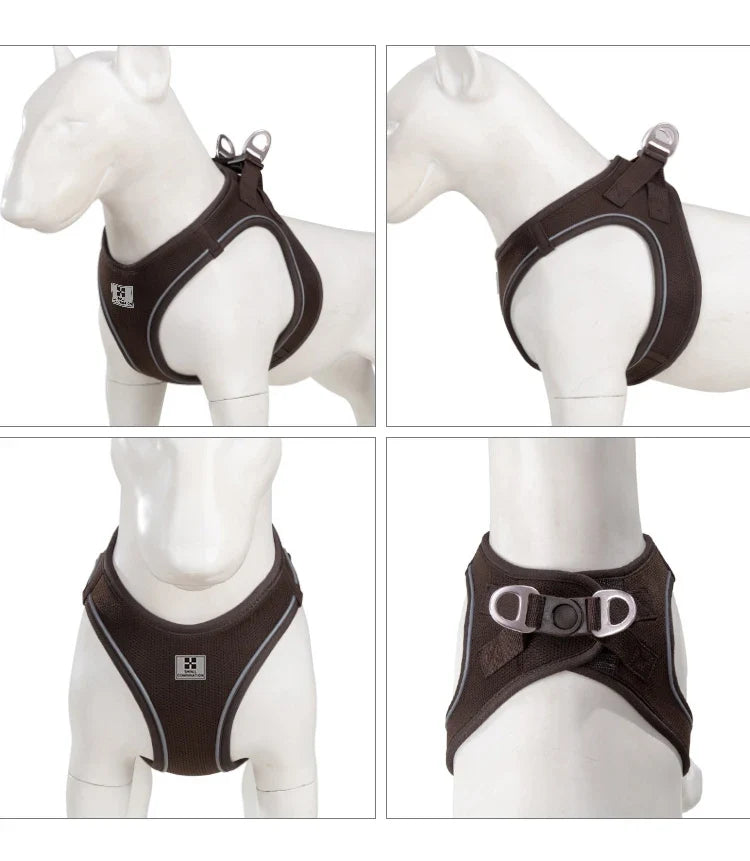 Dog Harness Leash Kit Reflective Padded Vest All Seasons Outdoor Walking Gift Idea