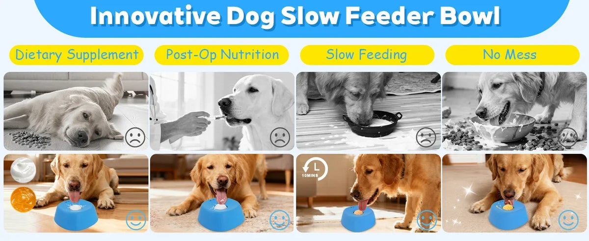 Anti-Slip Lick Mat 3/4 Cup Liquid Treat Holder for Dogs 2026 – Anti-Choking Slow Feeder Dog Bowl