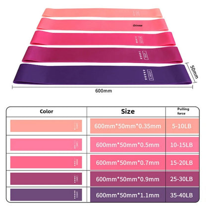 Elastic Resistance Bands for Women - Travel-Friendly Fitness Equipment for Squats, Hips, and Legs