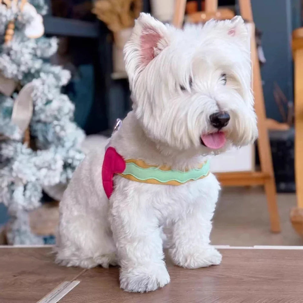 Dog Harness Y Shaped Flexible Chest Straps Polyester Blends Summer 2026 Outdoor Use Simple Fit
