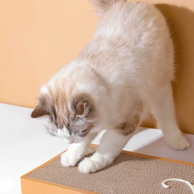 Cat Pet Scratching Board Cat Cardboard Mat for Claw Grinding