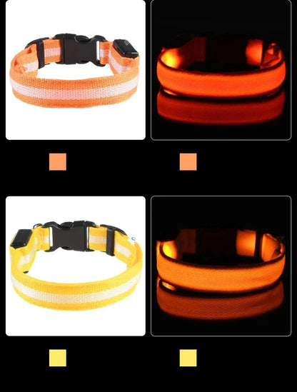 LED Dog Collar Glow In The Dark Night Safety Luminous Fall 2026 Trend Great Gift Idea