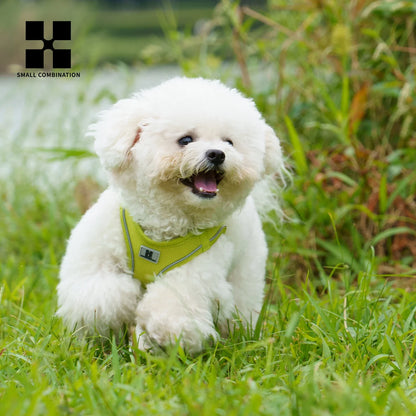 Dog Harness Leash Kit Reflective Padded Vest All Seasons Outdoor Walking Gift Idea