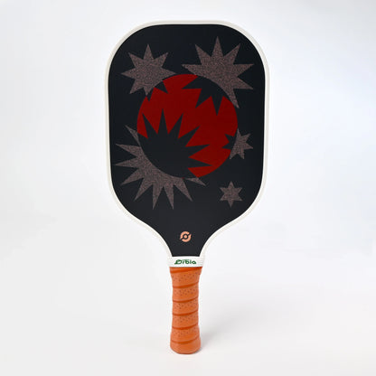 Beginner Pickleball Paddle Kit with 2 Paddles and 4 Outdoor Balls for Simple Play and Fun