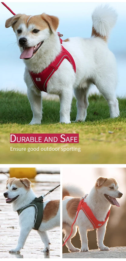 Dog Harness Leash Kit Reflective Padded Vest All Seasons Outdoor Walking Gift Idea