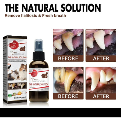 Pet Grooming Maintenance Dental Spray for Dogs & Cats - Bad Breath Freshener & Oral Cleaning, 30ml