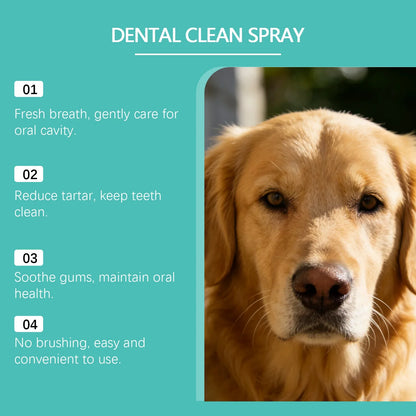 Organic Bad Breath Freshener Dog Cat Teeth Cleaning Plaque Reducer 2026 – Pet Oral Maintenance Spray 100ml