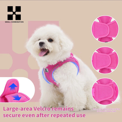 Dog Harness Leash Kit Reflective Padded Vest All Seasons Outdoor Walking Gift Idea