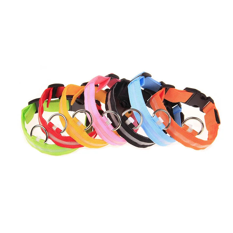 LED Dog Collar Glow In The Dark Night Safety Luminous Fall 2026 Trend Great Gift Idea