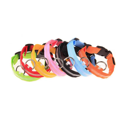 LED Dog Collar Glow In The Dark Night Safety Luminous Fall 2026 Trend Great Gift Idea