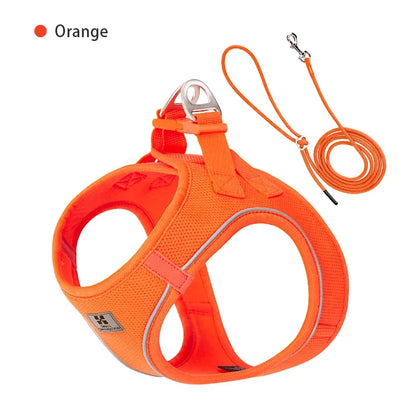 Dog Harness Leash Kit Reflective Padded Vest All Seasons Outdoor Walking Gift Idea