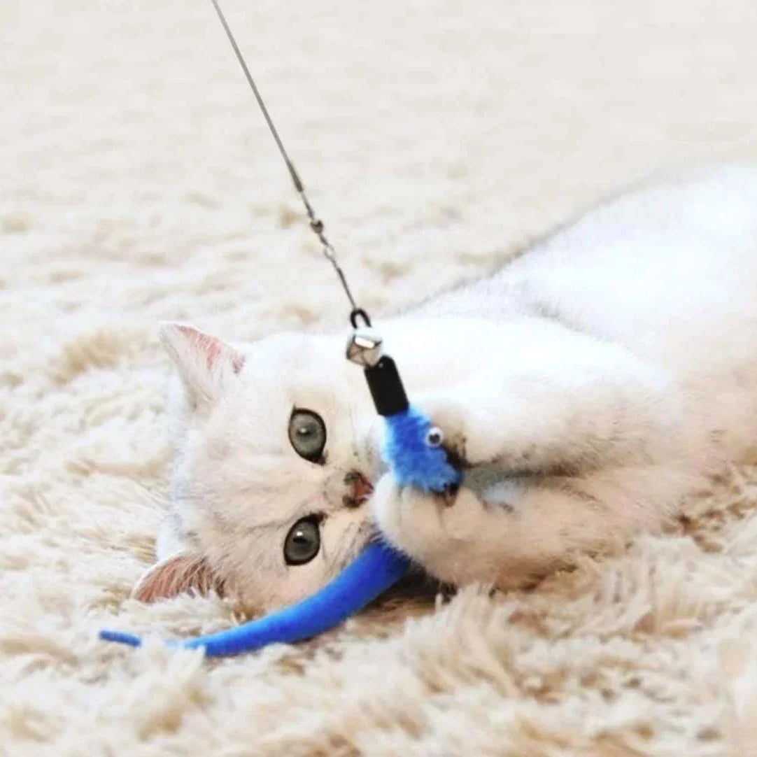 11pcs Replacement Cat Feather Toy Kit - Retractable Cat Stick for Play, Sturdy Feather Toys