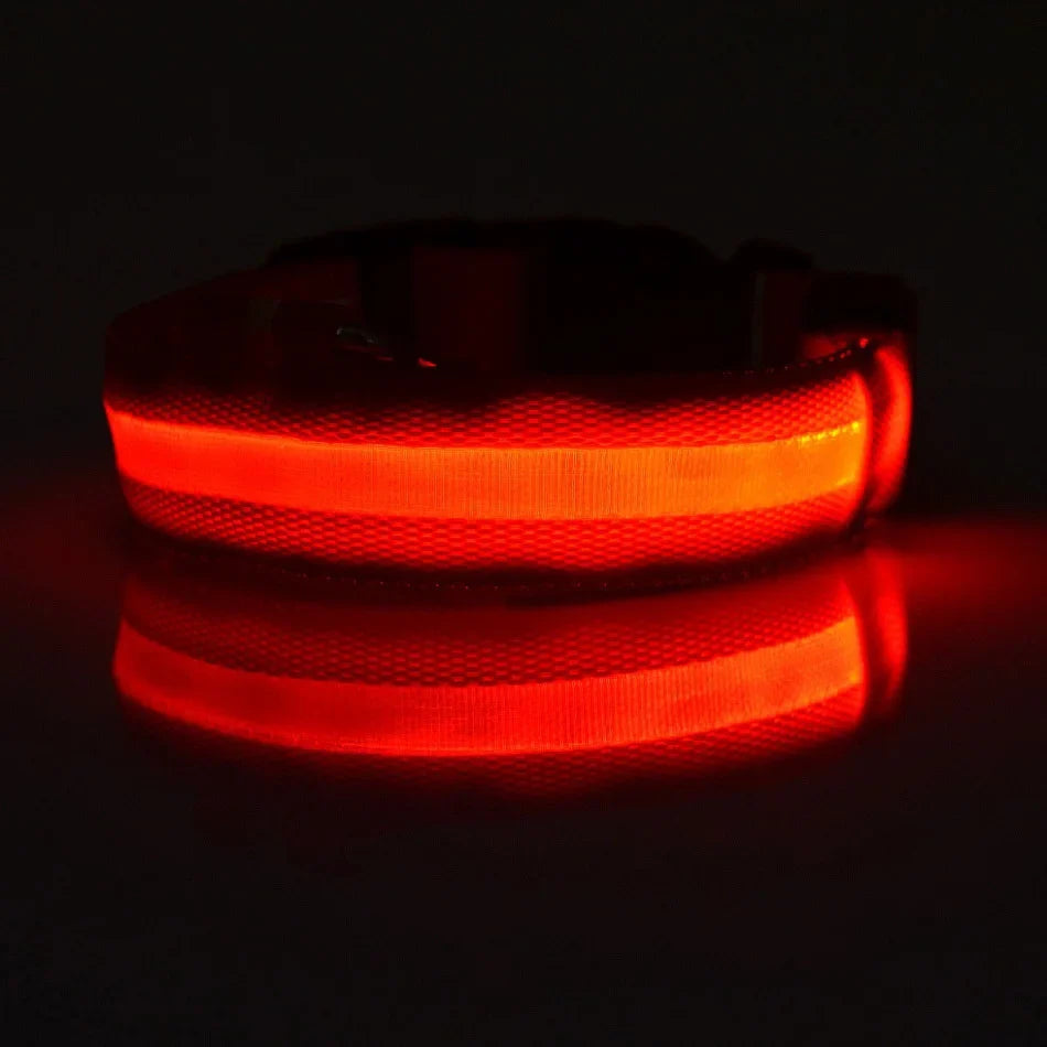 LED Dog Collar Glow In The Dark Night Safety Luminous Fall 2026 Trend Great Gift Idea