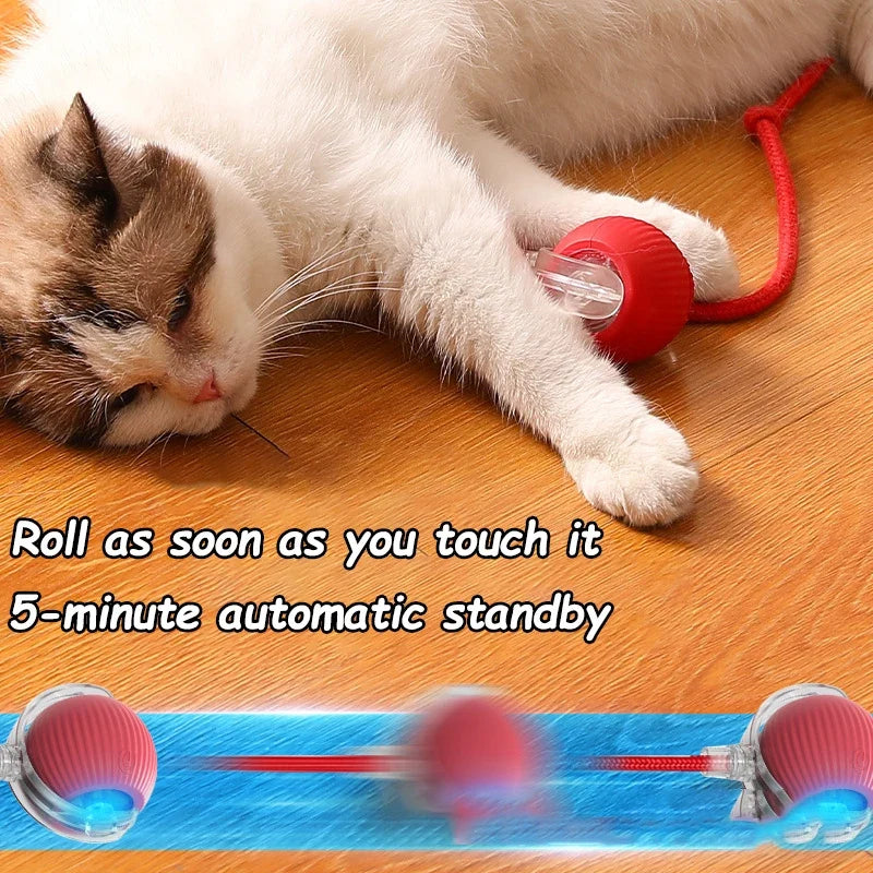 Plush Cat Interactive Ball Toy Automatic Rolling Ball - Battery-Powered Smart Motor-Driven Toy for Cats and Dogs